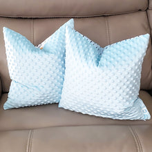 Load image into Gallery viewer, Let's Explore 16" x 16" Pillow (Minky & Little Explorer Friends)